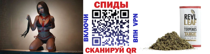 Купить закладки  Минусинск  Бутират бутик 